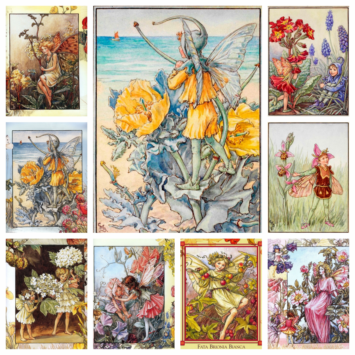 Photo Mosaic Print - Cicely Mary Barker Karya Seni Bunga