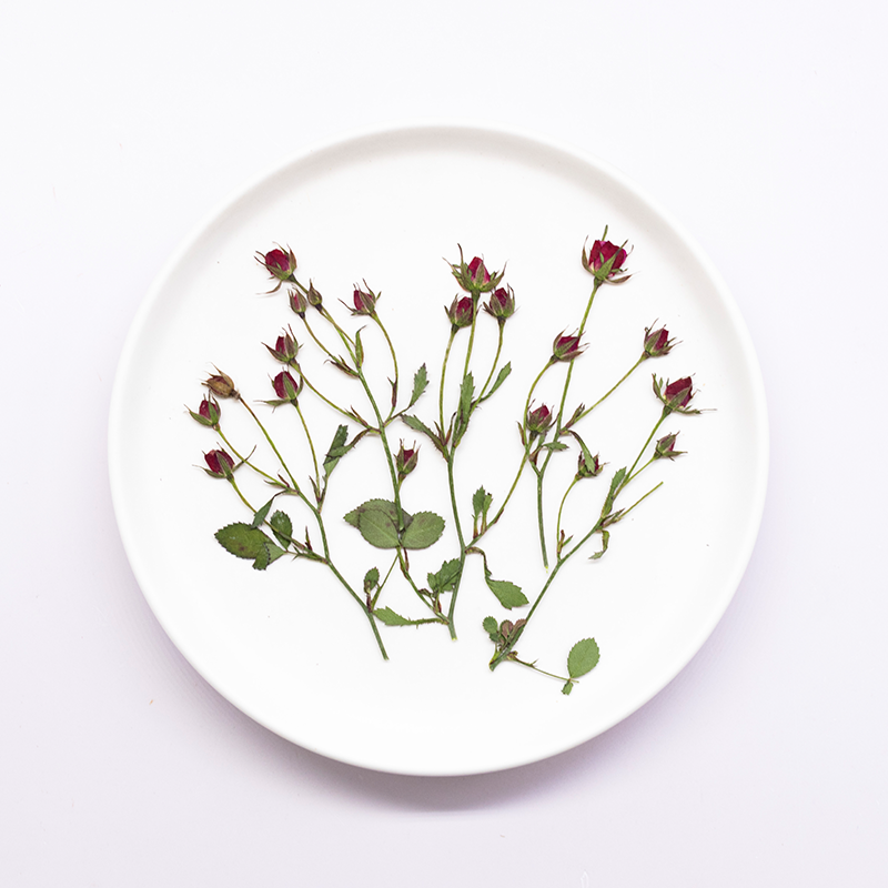 Dried Flower Bookmark - 12 Buah, Bunga Mawar Kering Multi