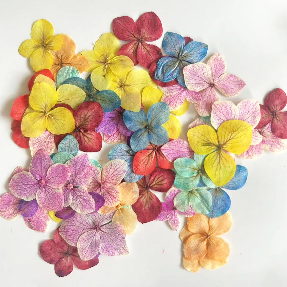 60 Buah Bunga Anna Hydrangea P - Dried Flower Bookmark ulasan dan harga