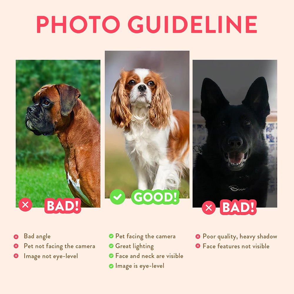 Potret Hewan Peliharaan yang D - Pet Portrait Custom ulasan dan harga