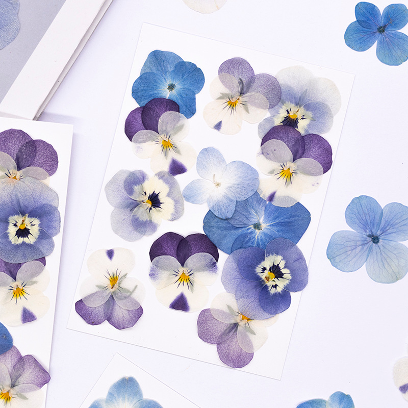 12 Buah, Bunga Kering Viola Co - Dried Flower Bookmark ulasan dan harga