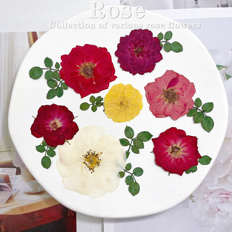 60pcs Pressed Dried Red Yellow - Dried Flower Bookmark ulasan dan harga