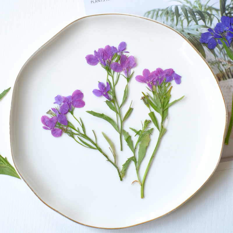 6 Buah/8-13Cm, Bunga Lobelia E - Dried Flower Bookmark ulasan dan harga