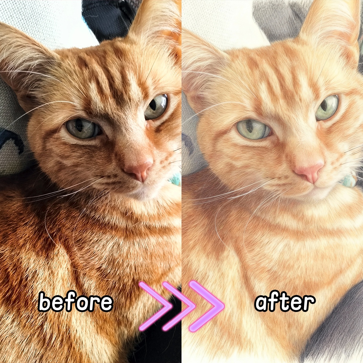 Poster Cetak Kanvas Gaya Pensi - Pet Portrait Custom ulasan dan harga